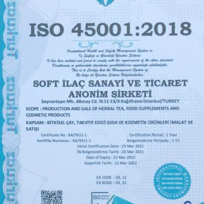 Iso 45000 2018