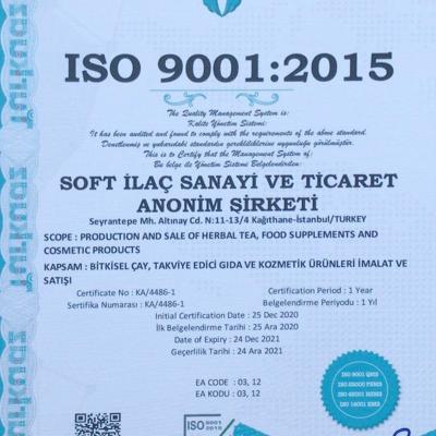 Iso9001 2015