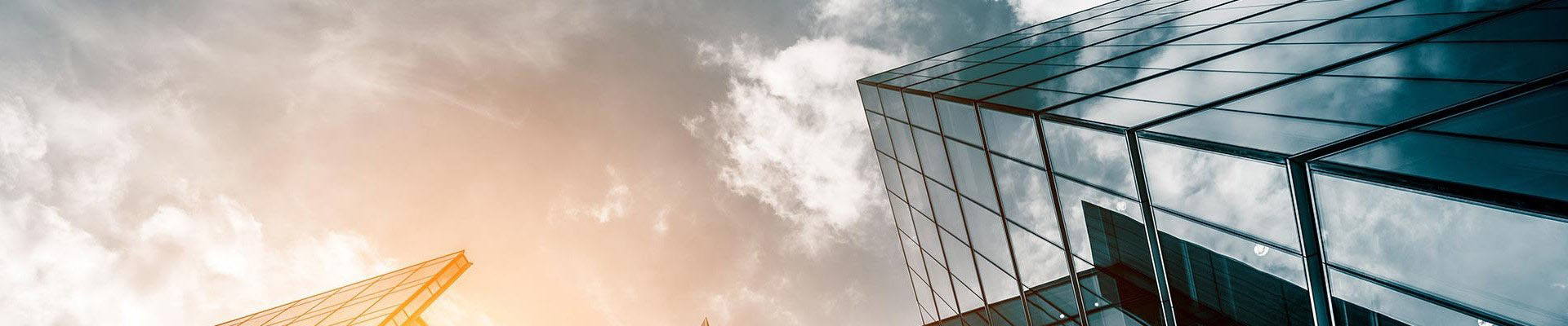 Takviye Edici Gıdalar Örnek